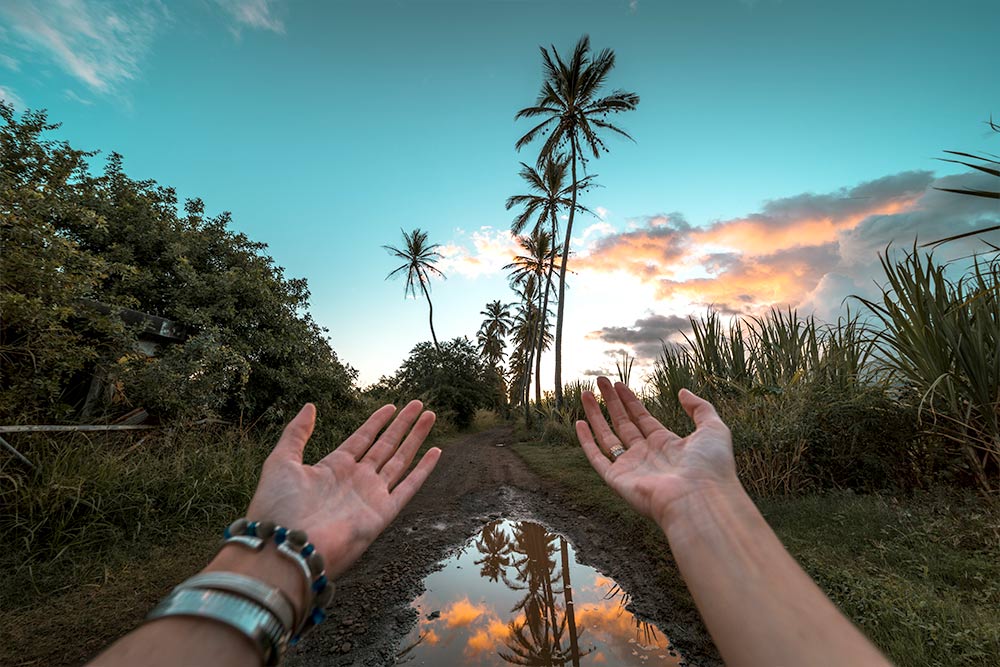 mains tendues vers une allée de palmiers