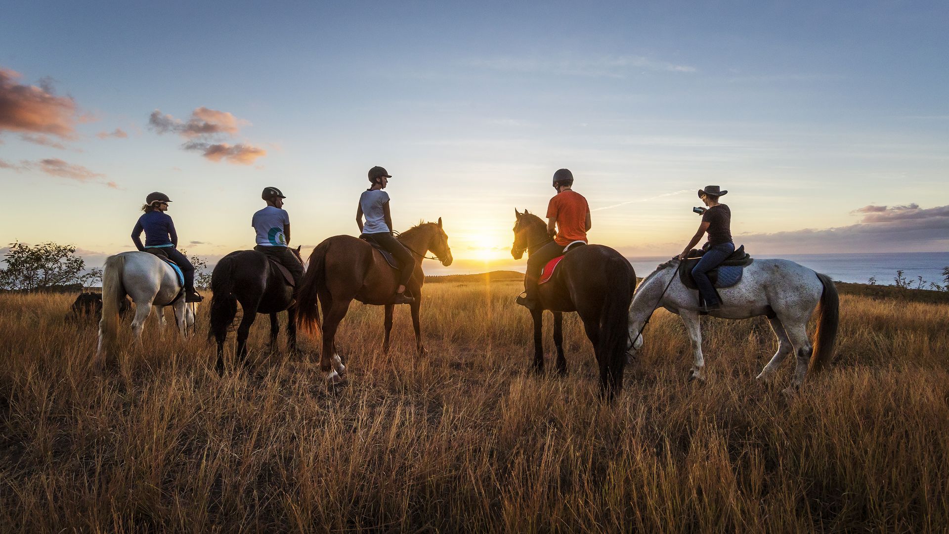 chevaux savane_FRT- ©Frog 974_31122021