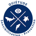Logo Quiétude Cétacés