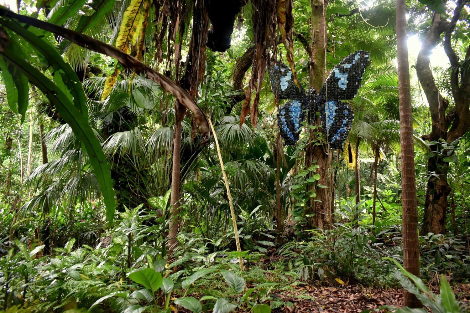 Papillon en canettes recyclées dans un arbre du jardin des parfums et des épices