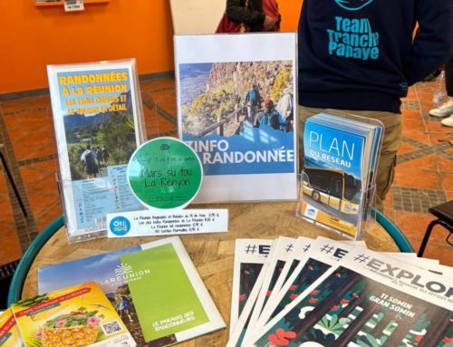 Innovation touristique à La Réunion : Design Thinking