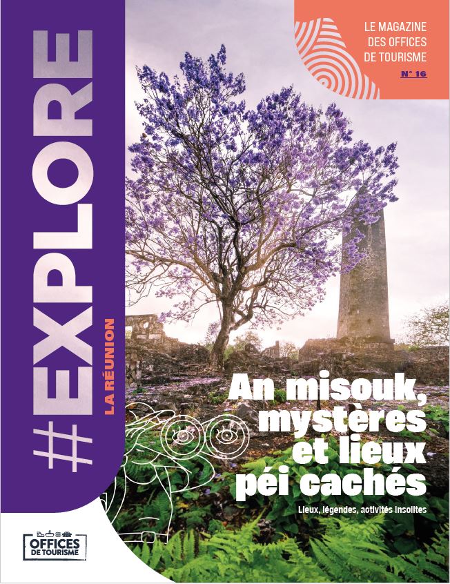 Couverture du magazine Explore La Réunion N°16 - ambiance mystérieuse avec un jacaranda en fleurs devant les vestiges de l'usine du Musée de Villèle