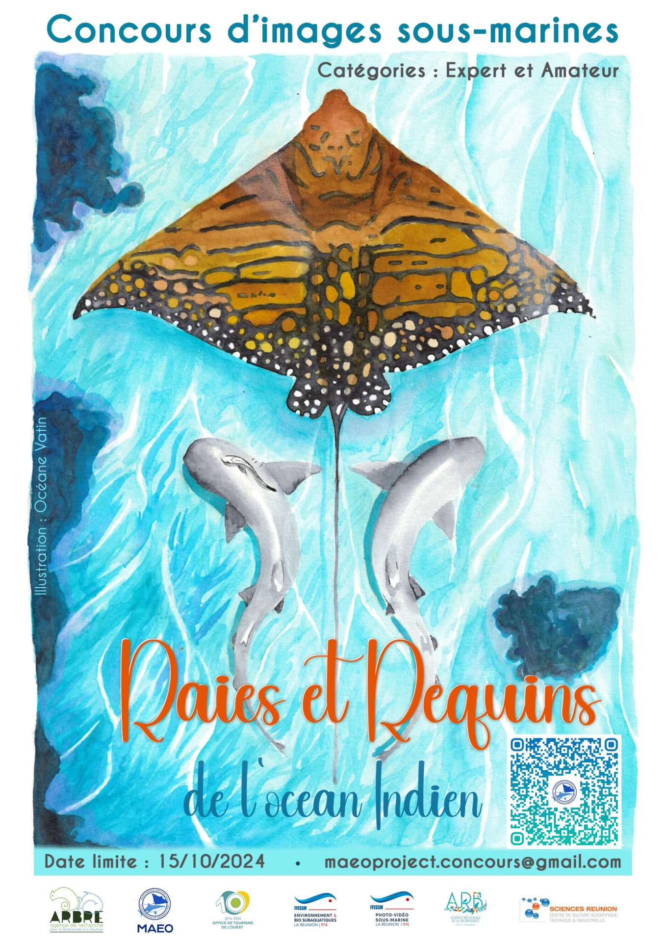 visuel du jeu concours : fond bleu clair, 2 requins et une raie dessinés